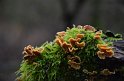 Wandertag 2016 - 045